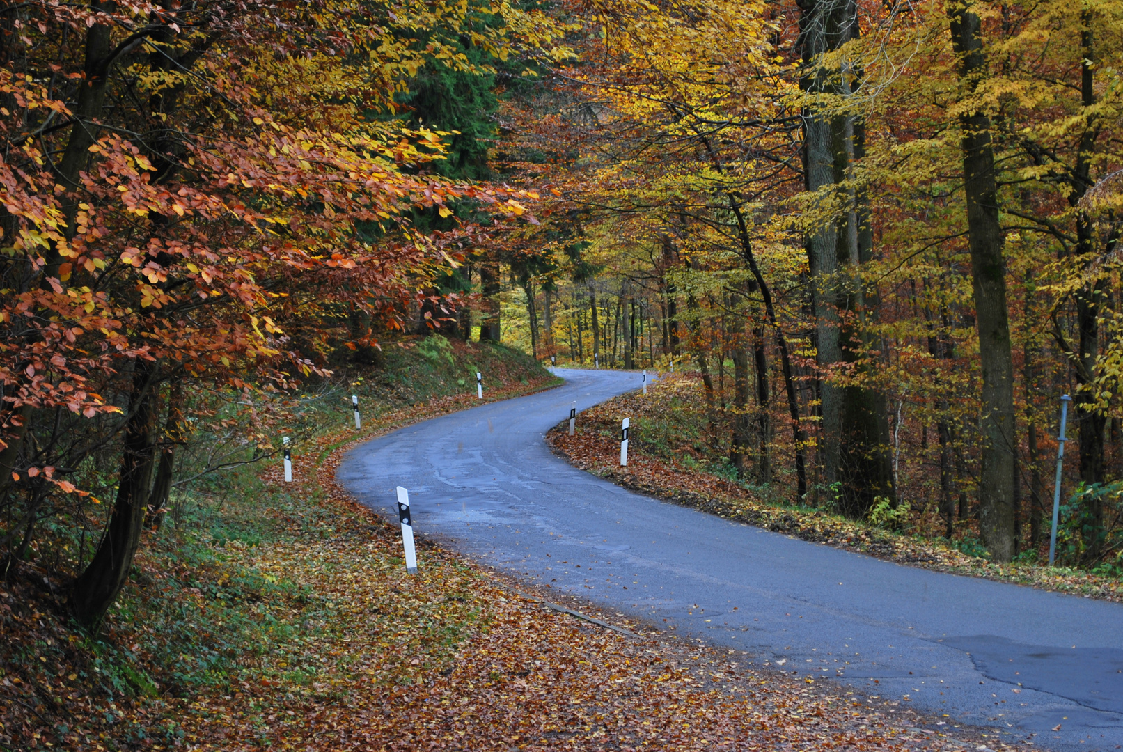 Der Weg ist das Ziel ^^