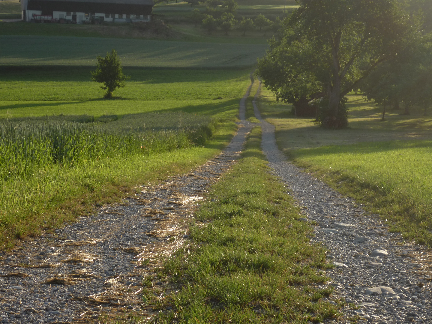 Der Weg ist das Ziel