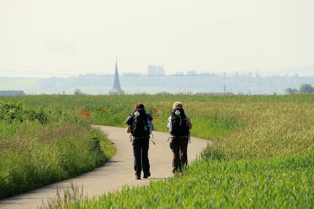 " der Weg ist das Ziel "