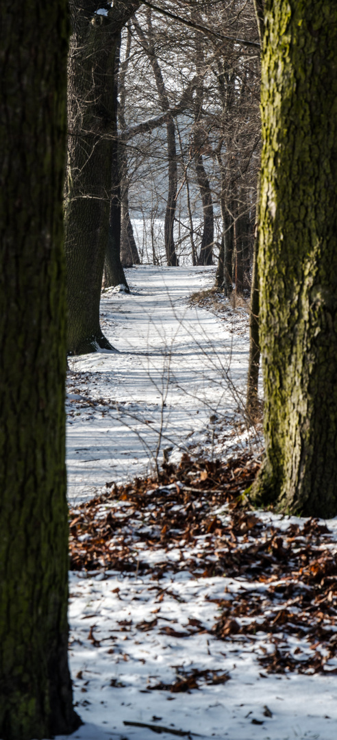 ...der Weg ist das Ziel...