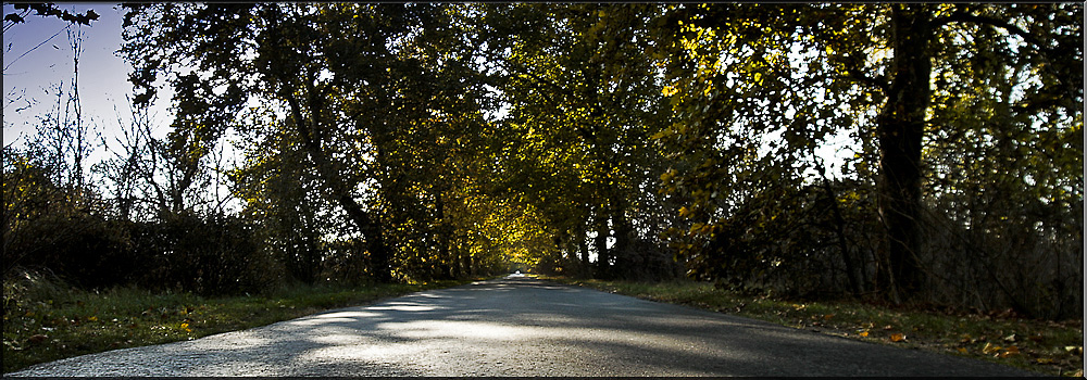 der weg ist das ziel