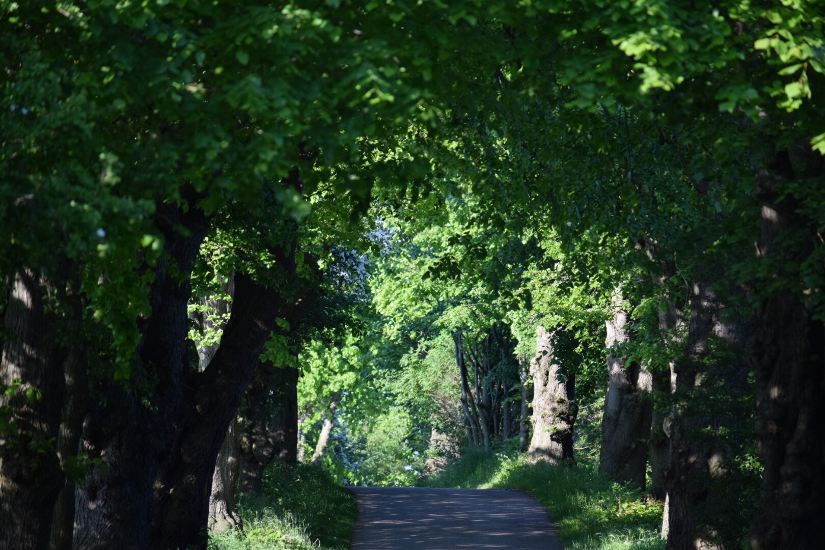 Der Weg ist das Ziel