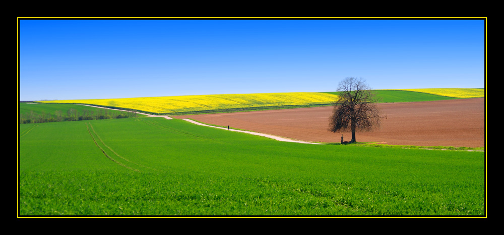 Der Weg ist das Ziel....