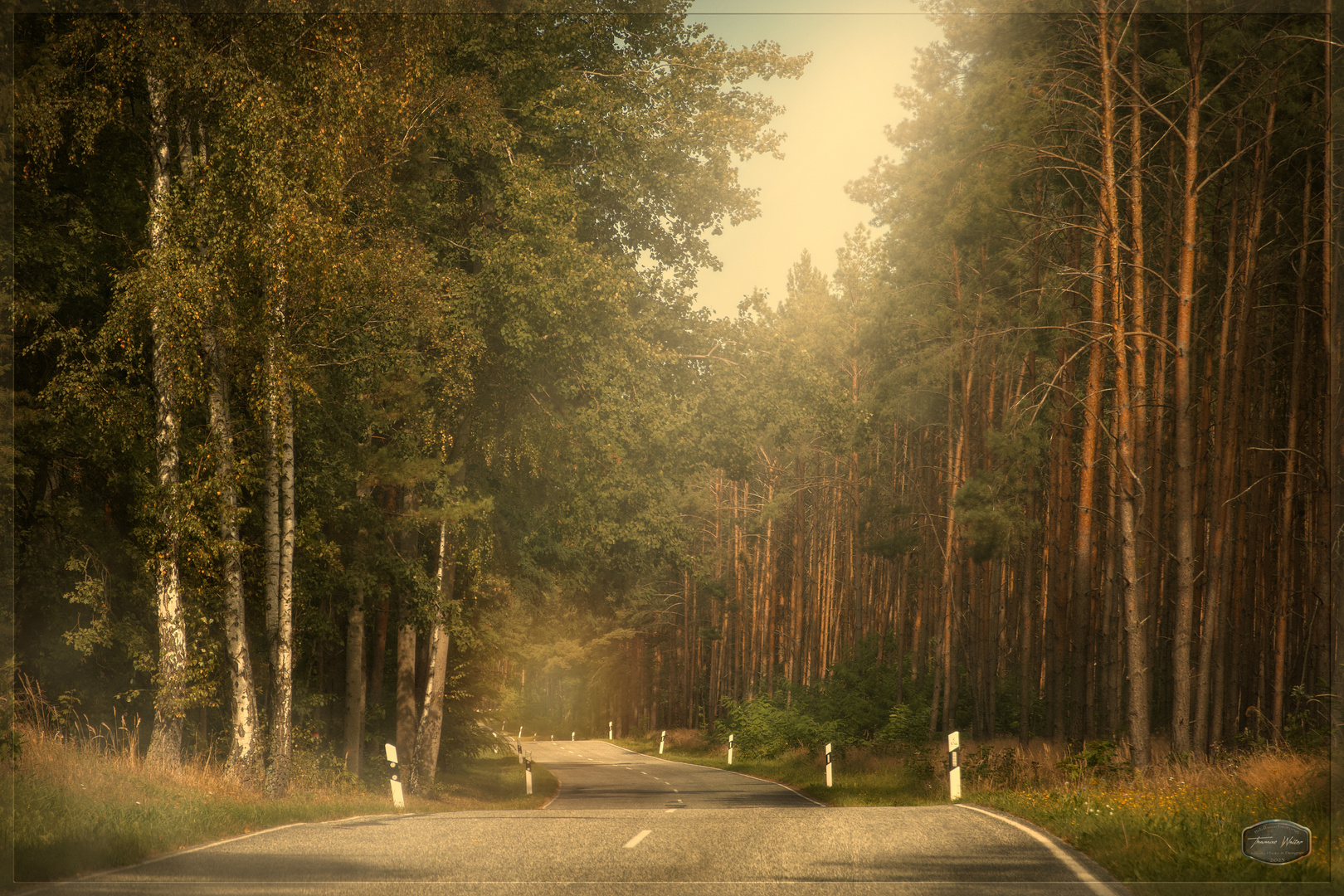 Der Weg ist das Ziel 