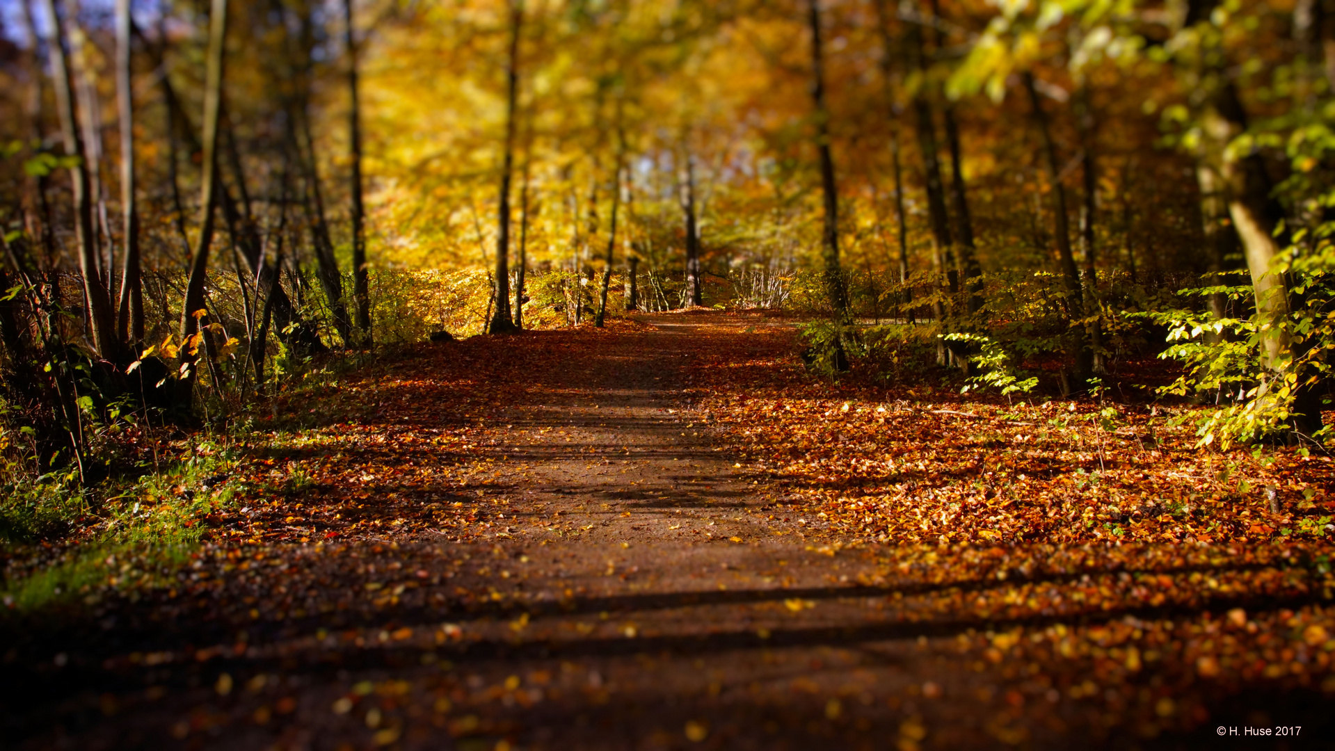 Der Weg ist das Ziel