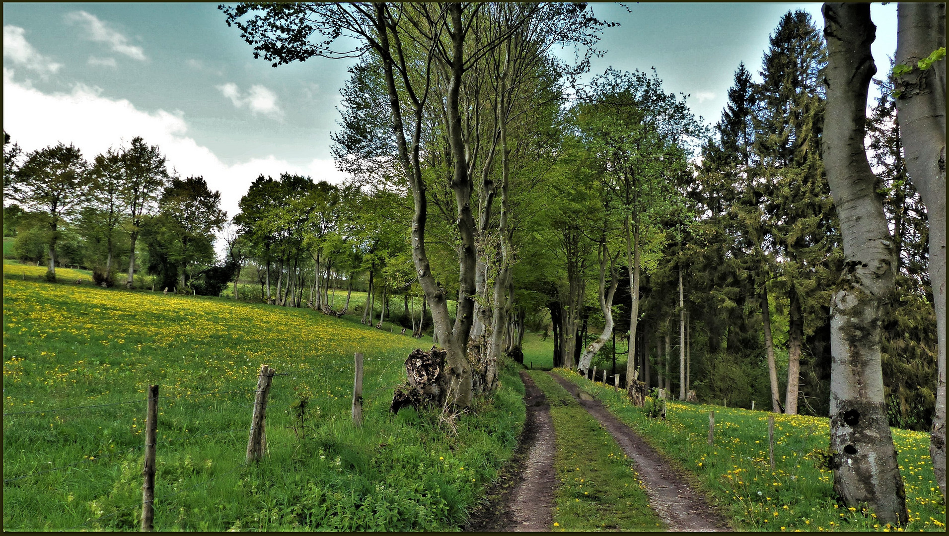 Der Weg ist das Ziel