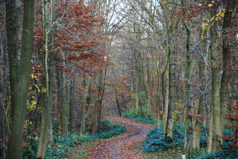 Der Weg ist das Ziel