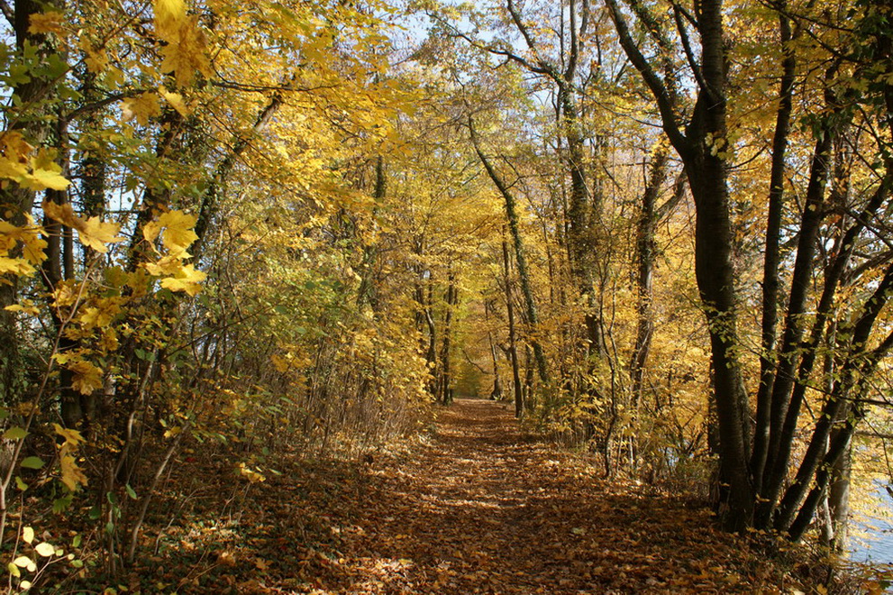 Der Weg ist das Ziel