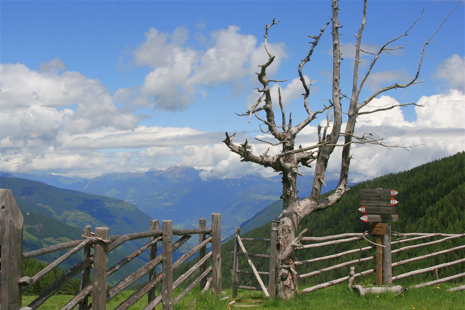 Der Weg ist das Ziel