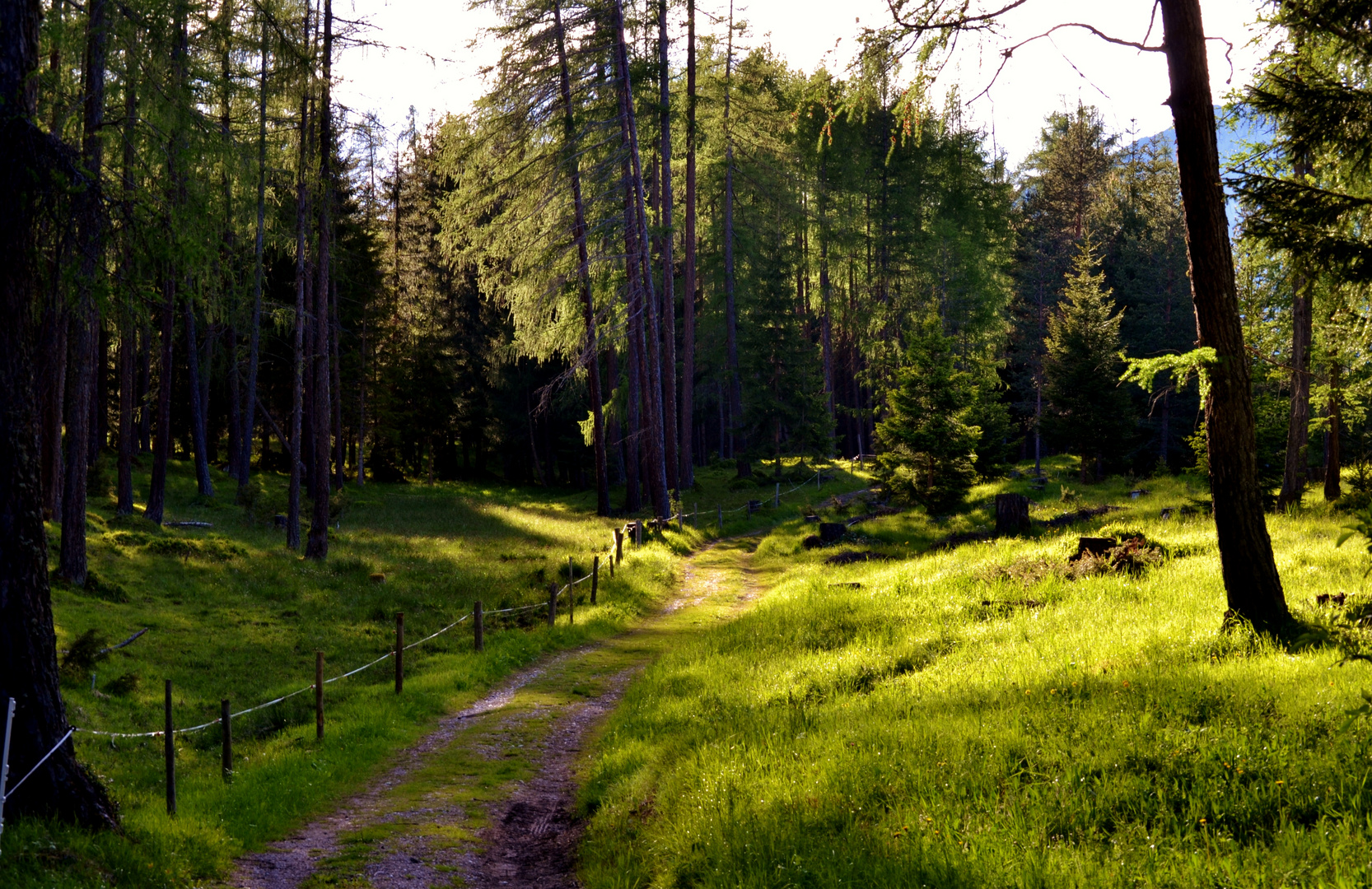 der Weg ist das Ziel