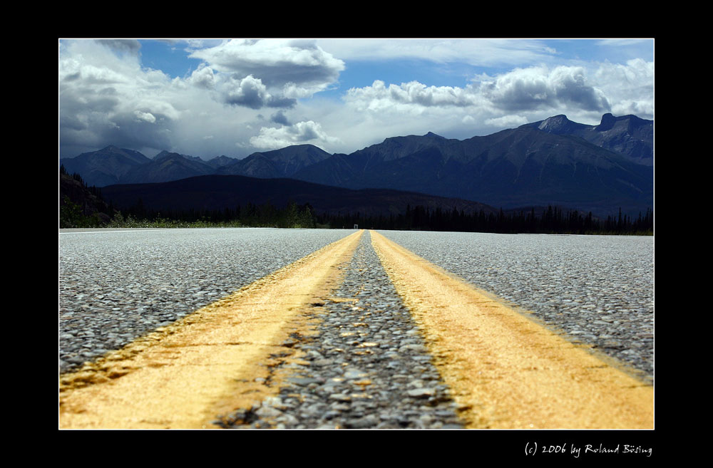 ***DER WEG IST DAS ZIEL***