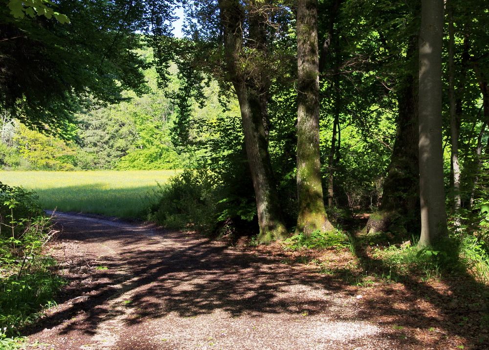 Der Weg ist das Ziel