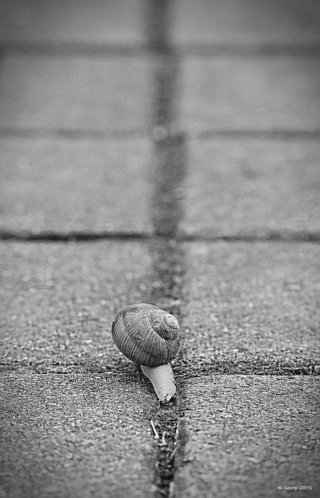 Der Weg ist das Ziel!