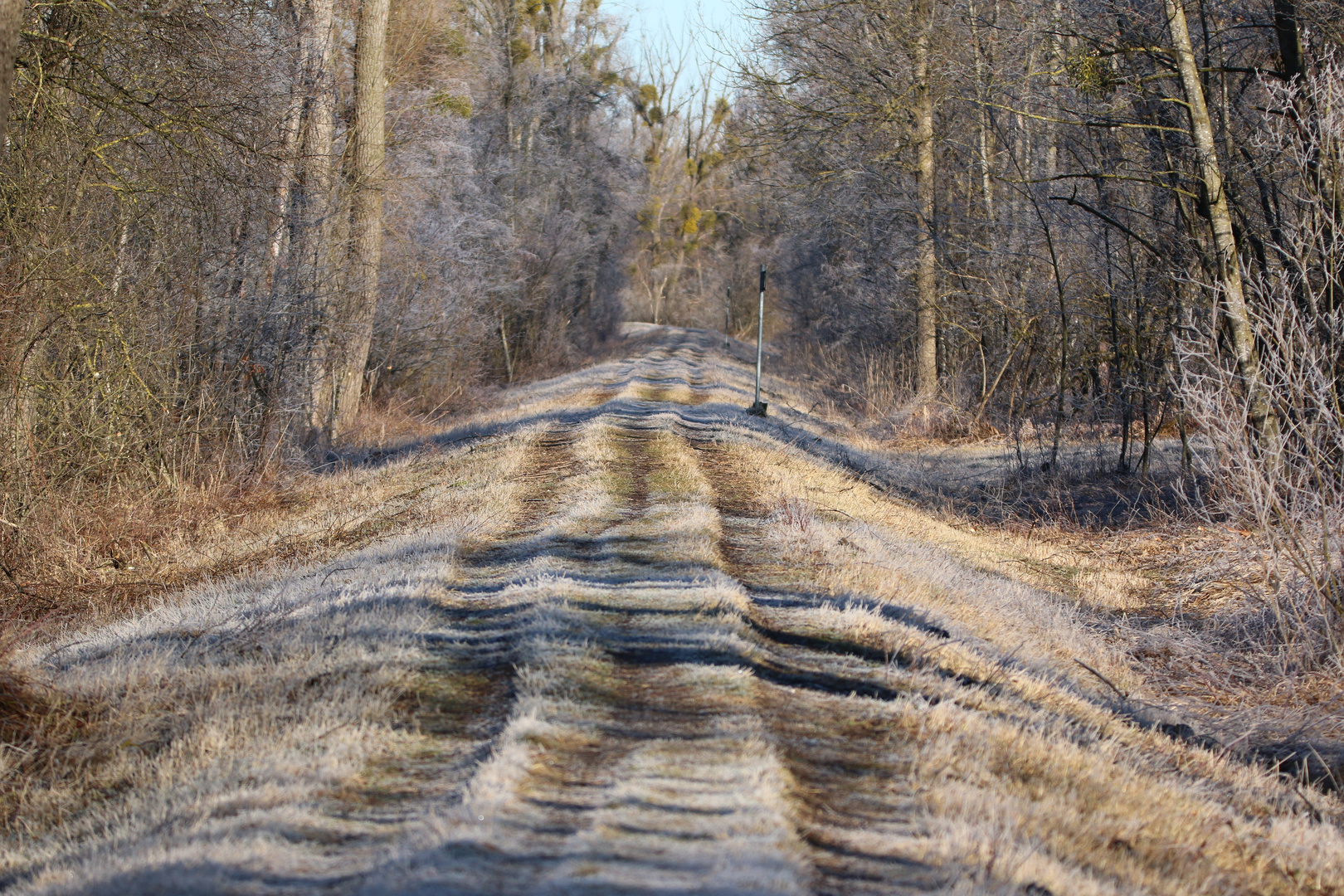 Der Weg ist das Ziel