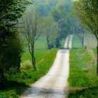 Der Weg ist das Ziel - Frühling Weserbergland