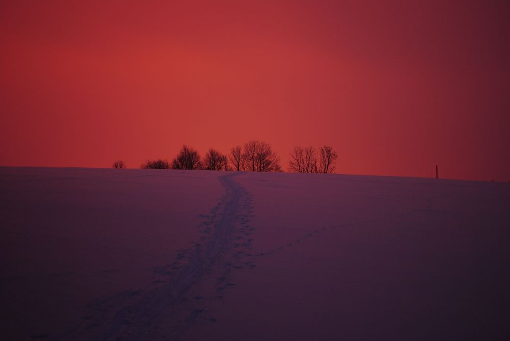 der Weg ist das Ziel II