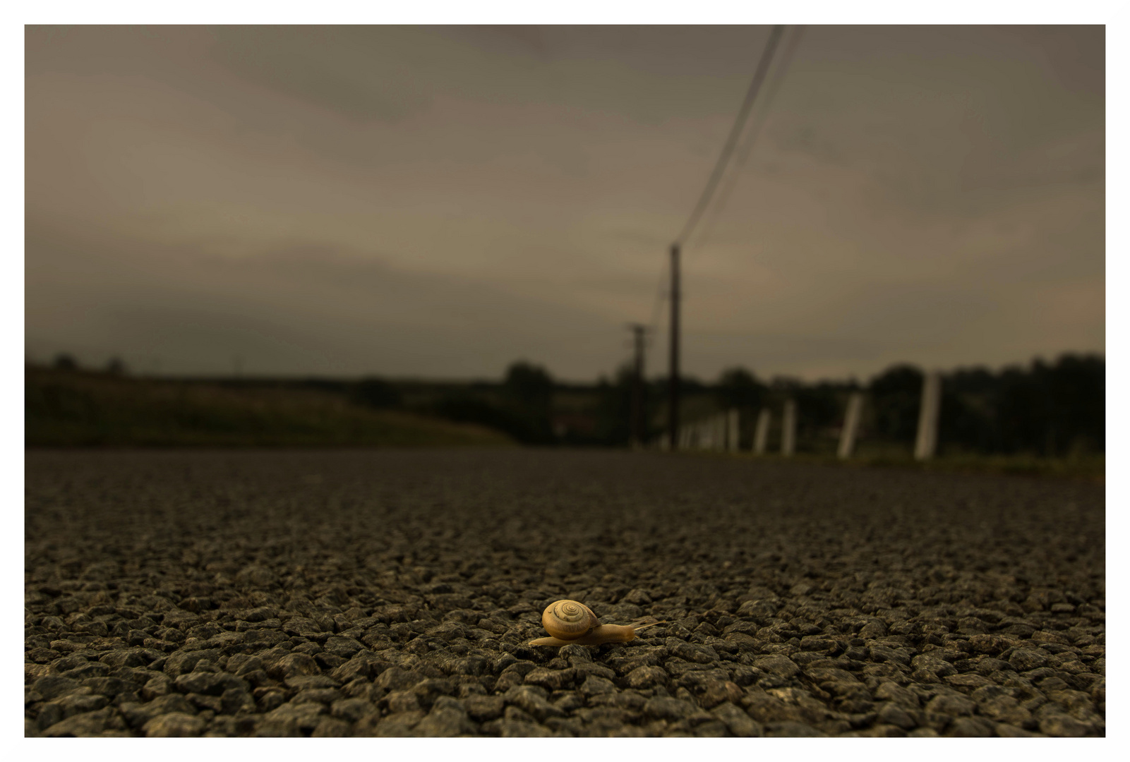 Der Weg, ist das Ziel - nicht dem Weg entlang