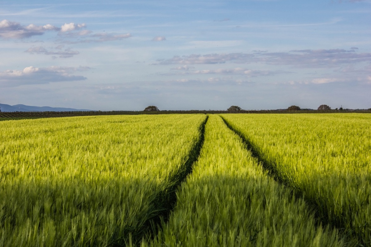 Der Weg ist das Ziel - Reload