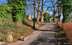 Der Weg ist das Ziel, Ruine Krukenburg in Bad Karlshafen