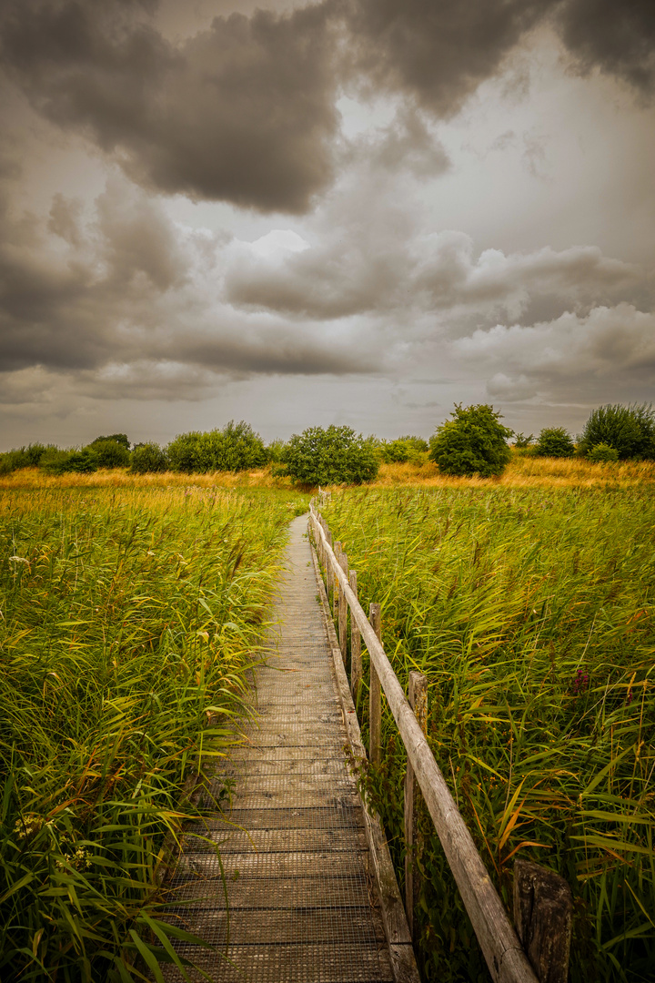 Der Weg ist das Ziel. Winderatter See