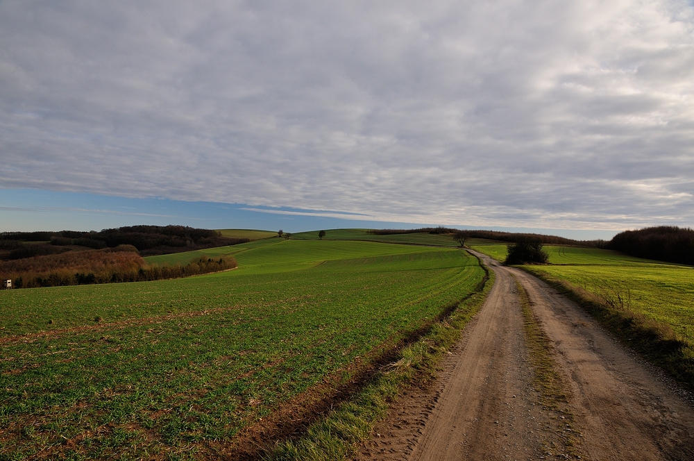 Der Weg ist das Ziel, wo er mich wohl dieses...