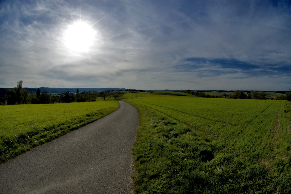 ... der Weg ist das Ziel zwo ...