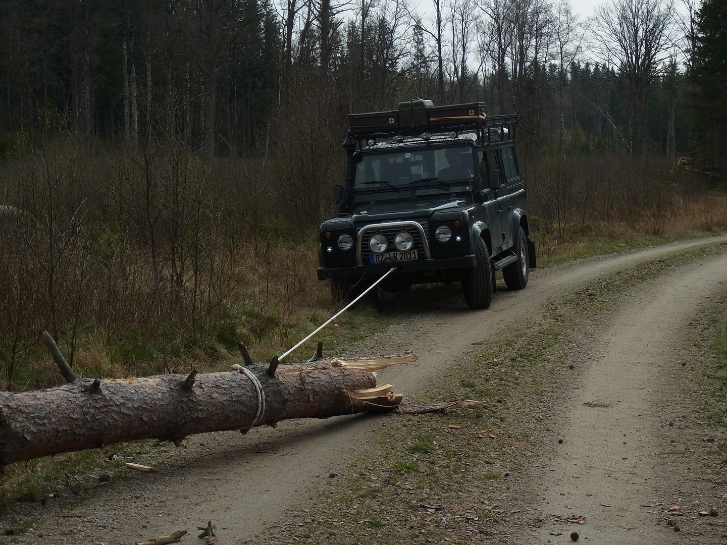 Der Weg ist frei.