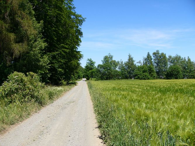 Der Weg ist mein Ziel