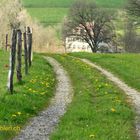 Der Weg ist nicht immer das einzige Ziel ...