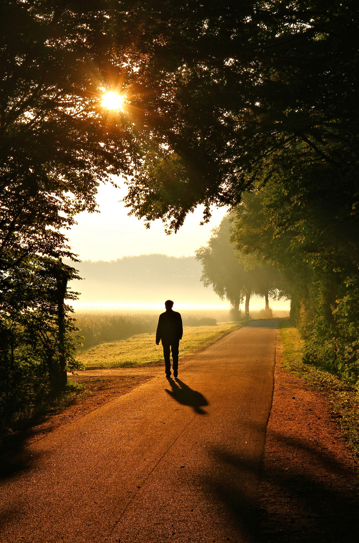 Der Weg ist nicht zu Ende ...