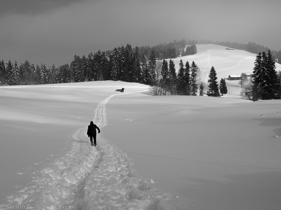 der Weg ist noch weit