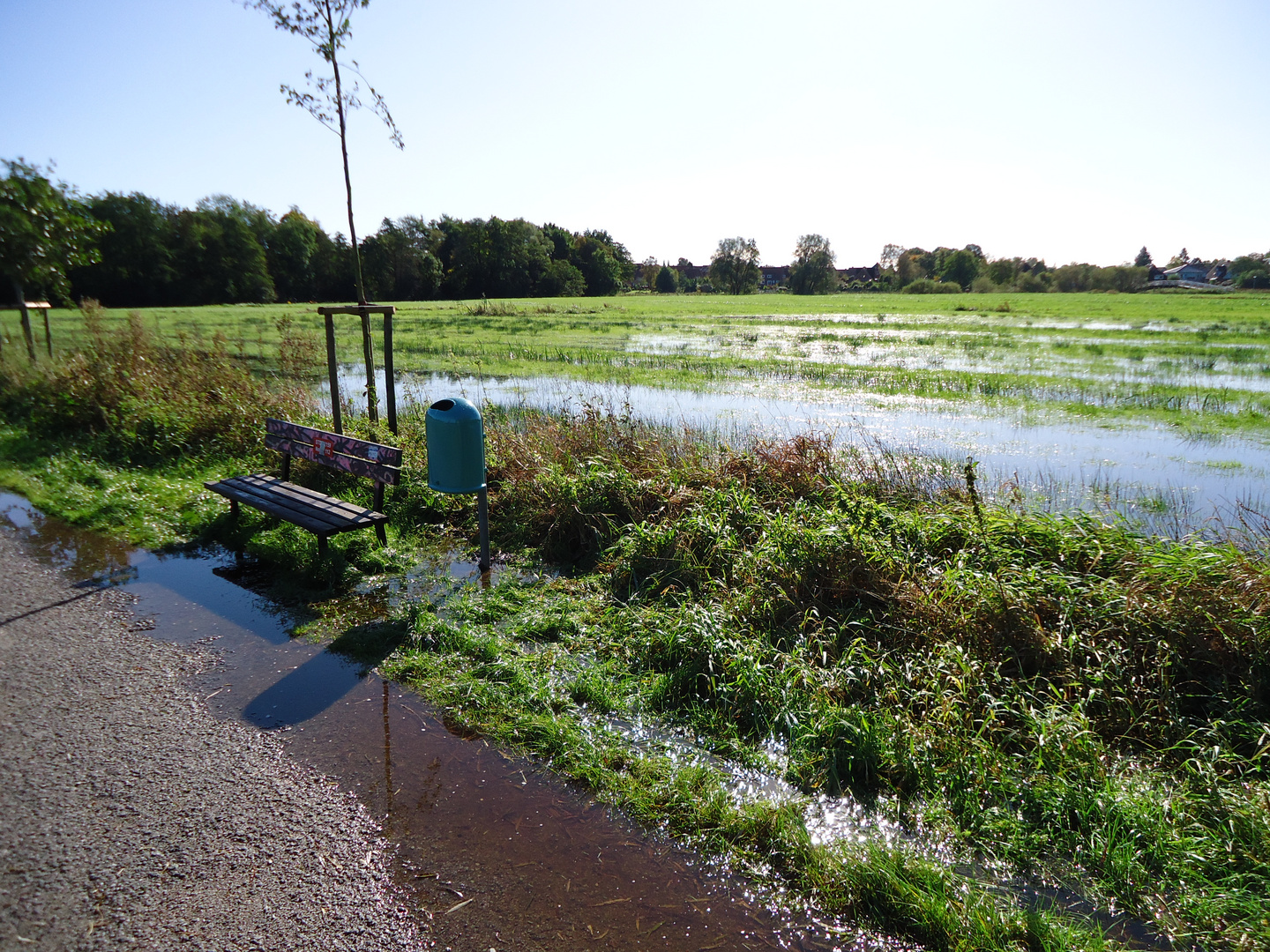 Der Weg ist überschwemmt, die Wiese auch..!