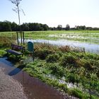 Der Weg ist überschwemmt, die Wiese auch..!