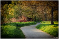 Der Weg ist voller Wärme und Güte, ... 