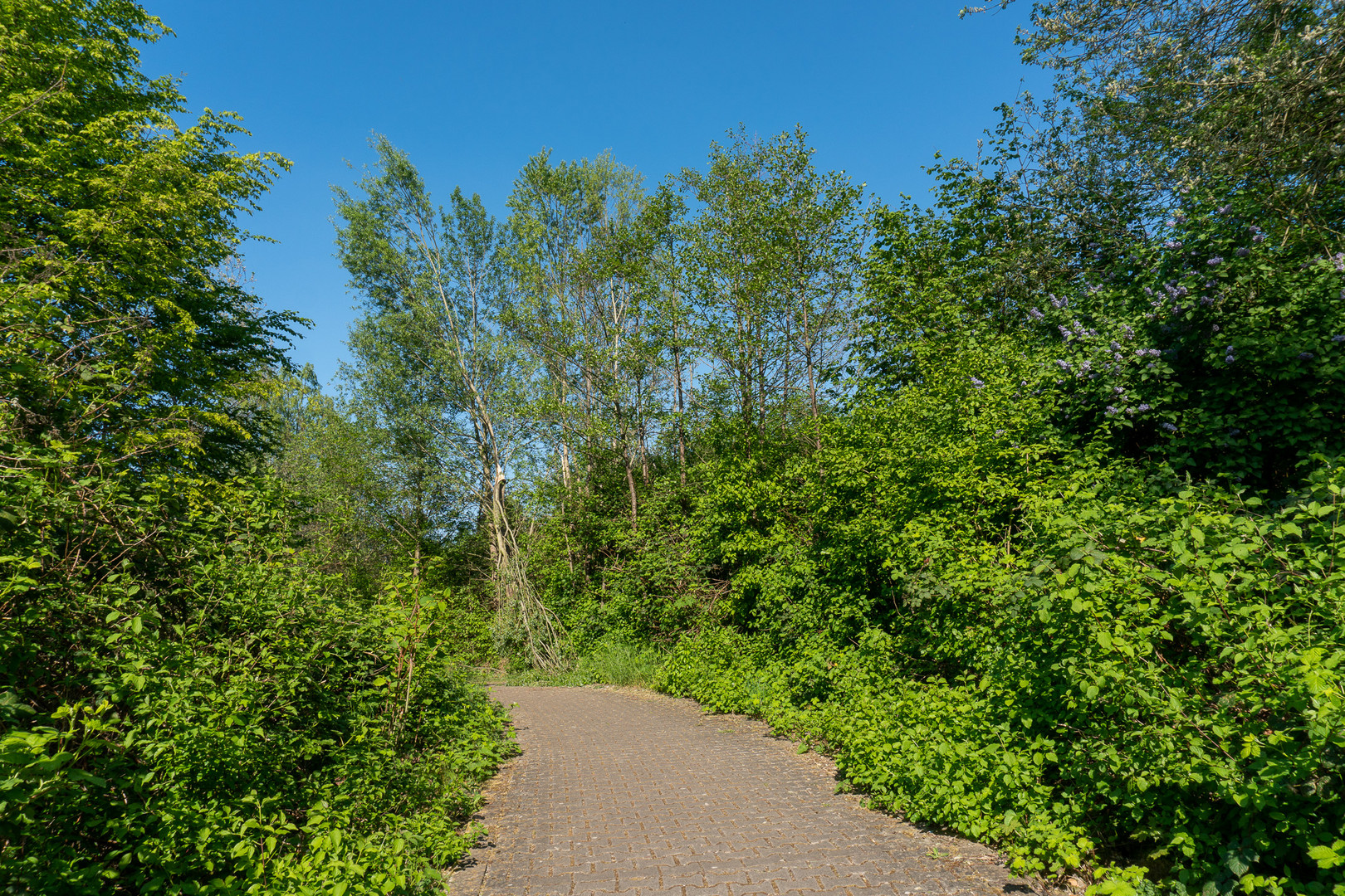 Der Weg ist weg