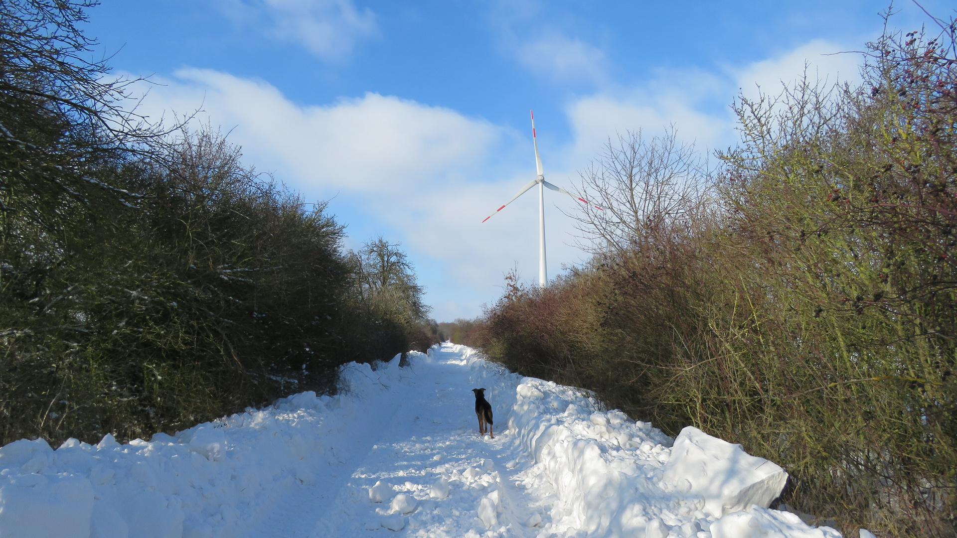 Der Weg ist wieder frei...