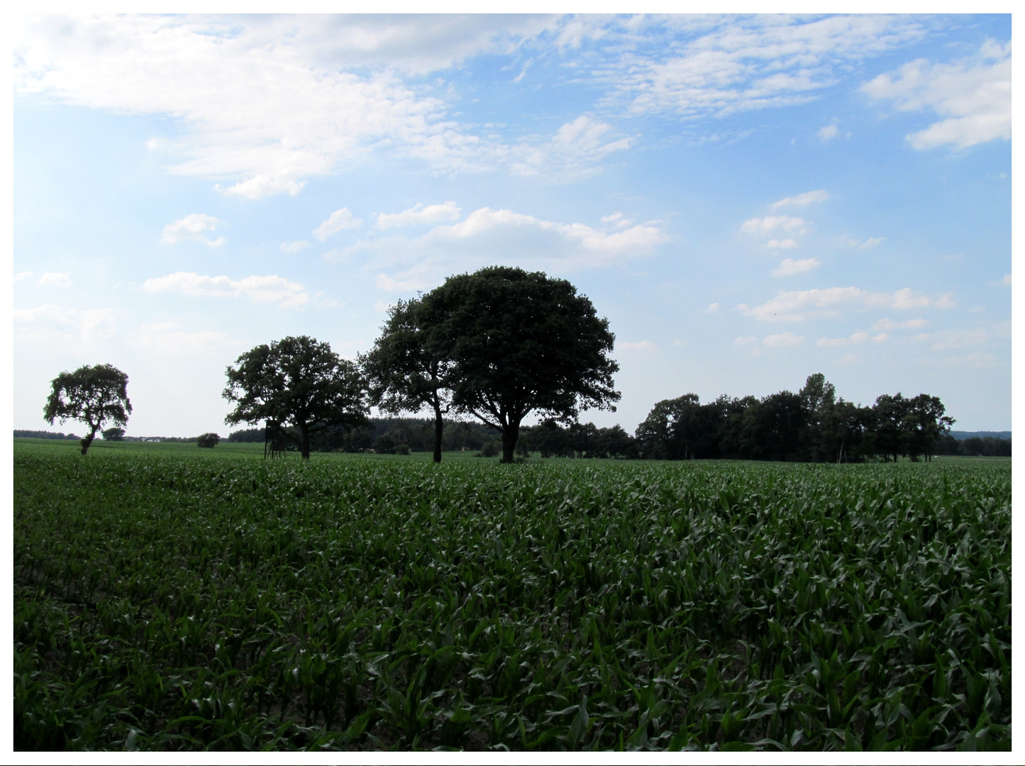 der Weg ist zu Ende