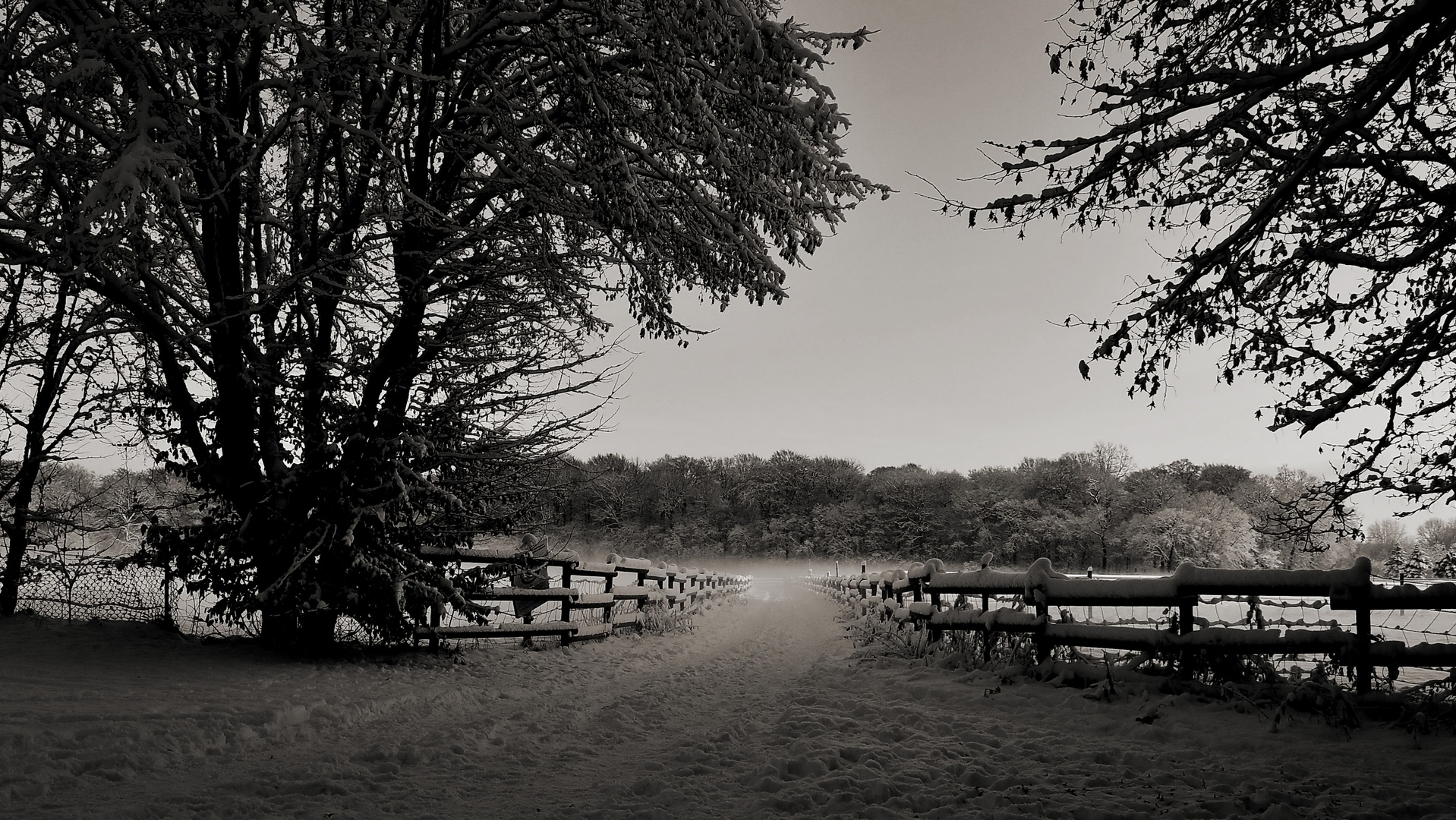 der weg .......jetzt ist mehr schnee