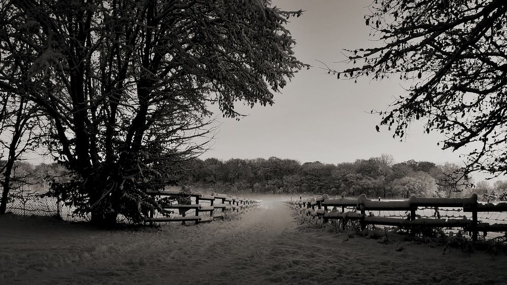 der weg .......jetzt ist mehr schnee