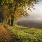 Der Weg kann das Ziel sein