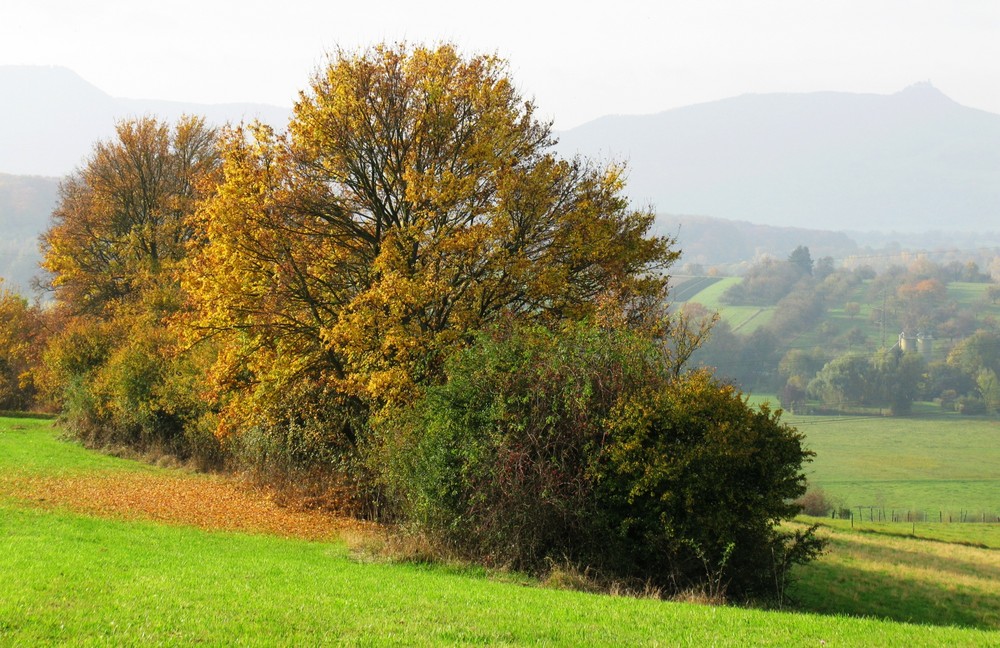 der Weg links 1