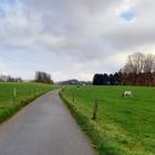 der Weg nach Altehufe