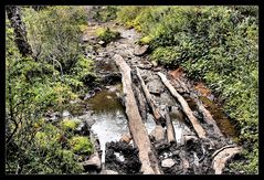 DER WEG NACH ARGENTINIEN