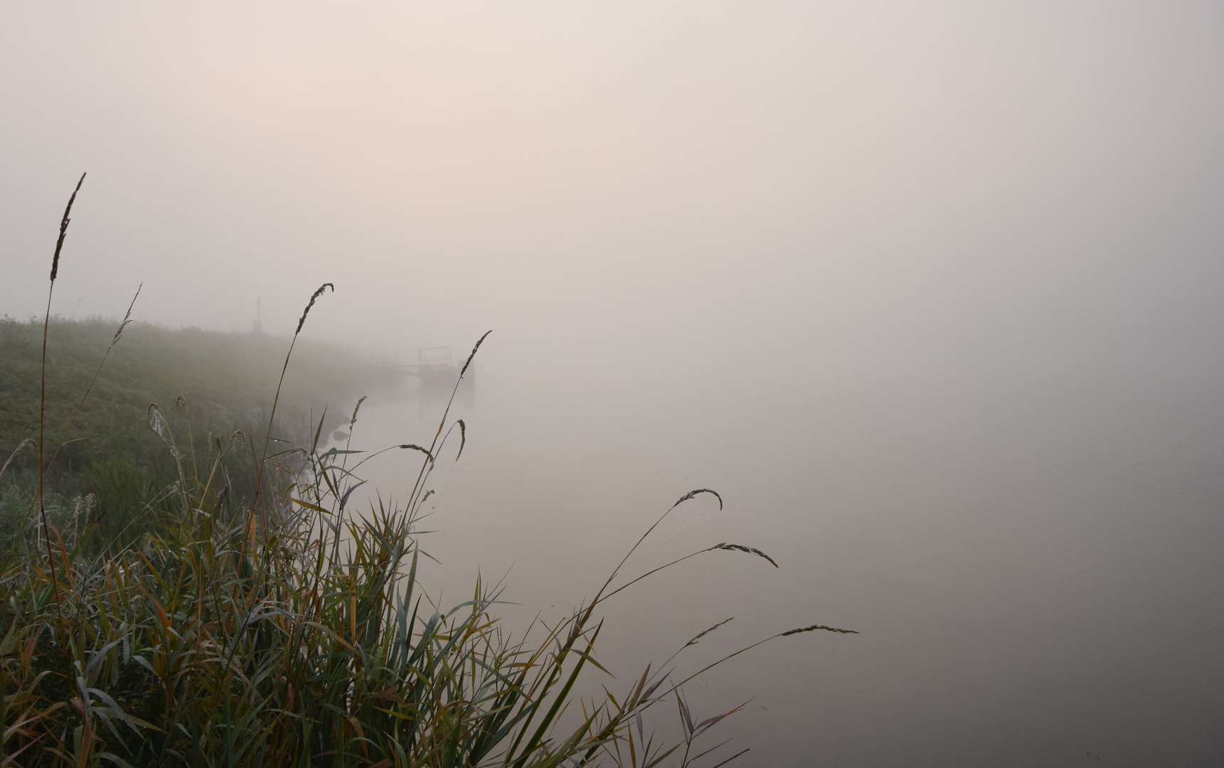 Der Weg nach Avalon?