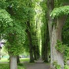 Der Weg nach Blankenese