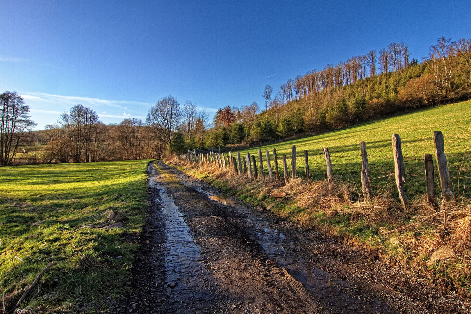 Der Weg nach Danklin