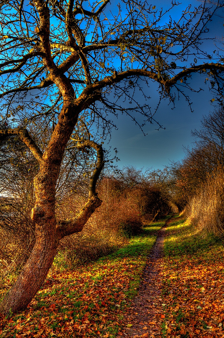 Der Weg nach Hause