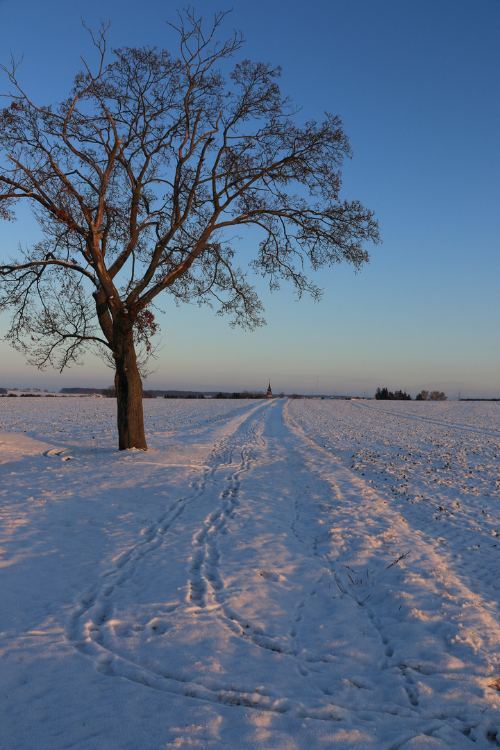 der Weg nach Hause