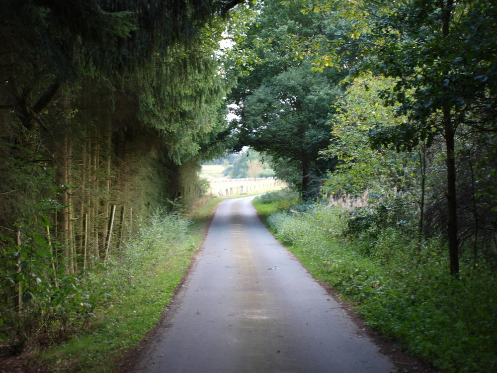 Der Weg nach Hause