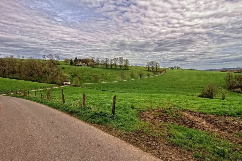 Der Weg nach Langscheid